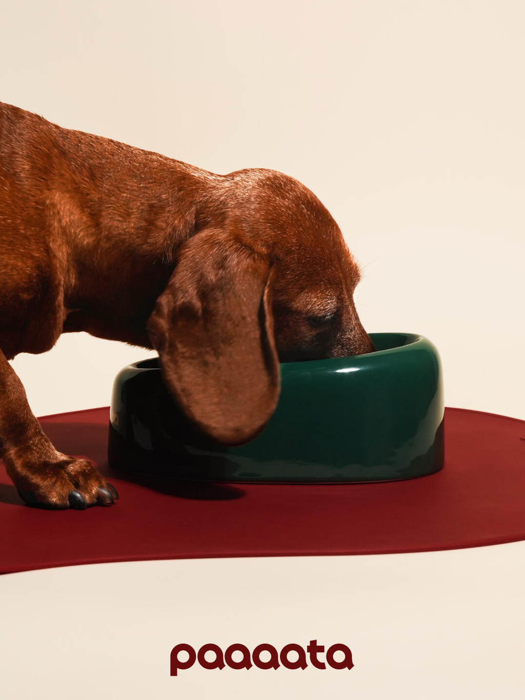 Signature Ceramic Slanted Pet Bowl