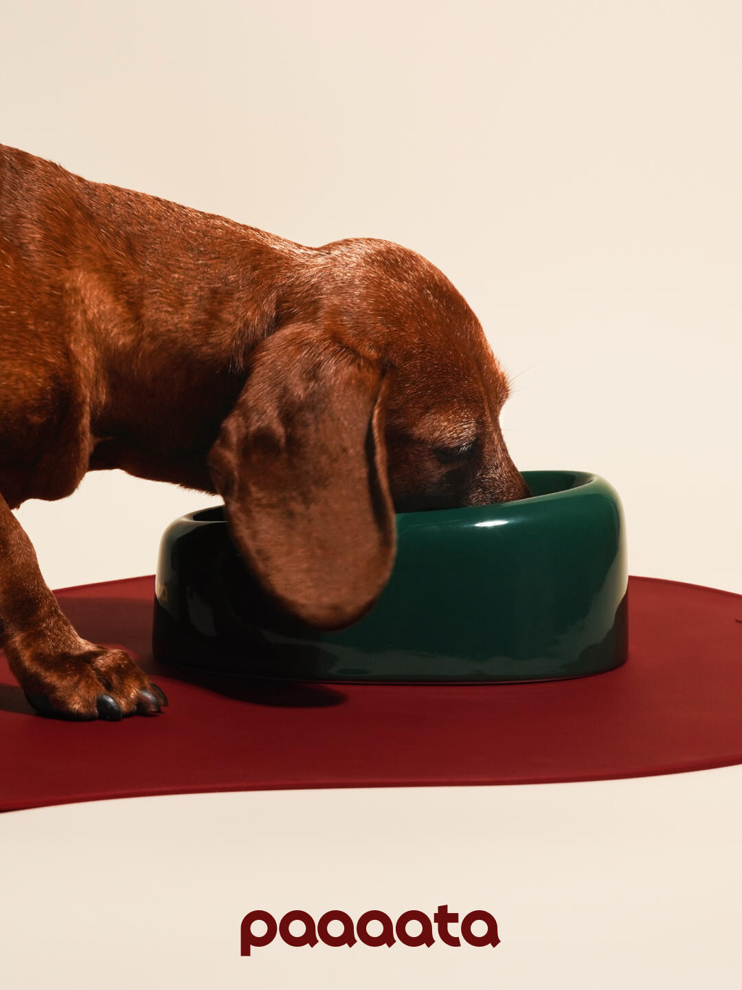 Signature Ceramic Slanted Pet Bowl