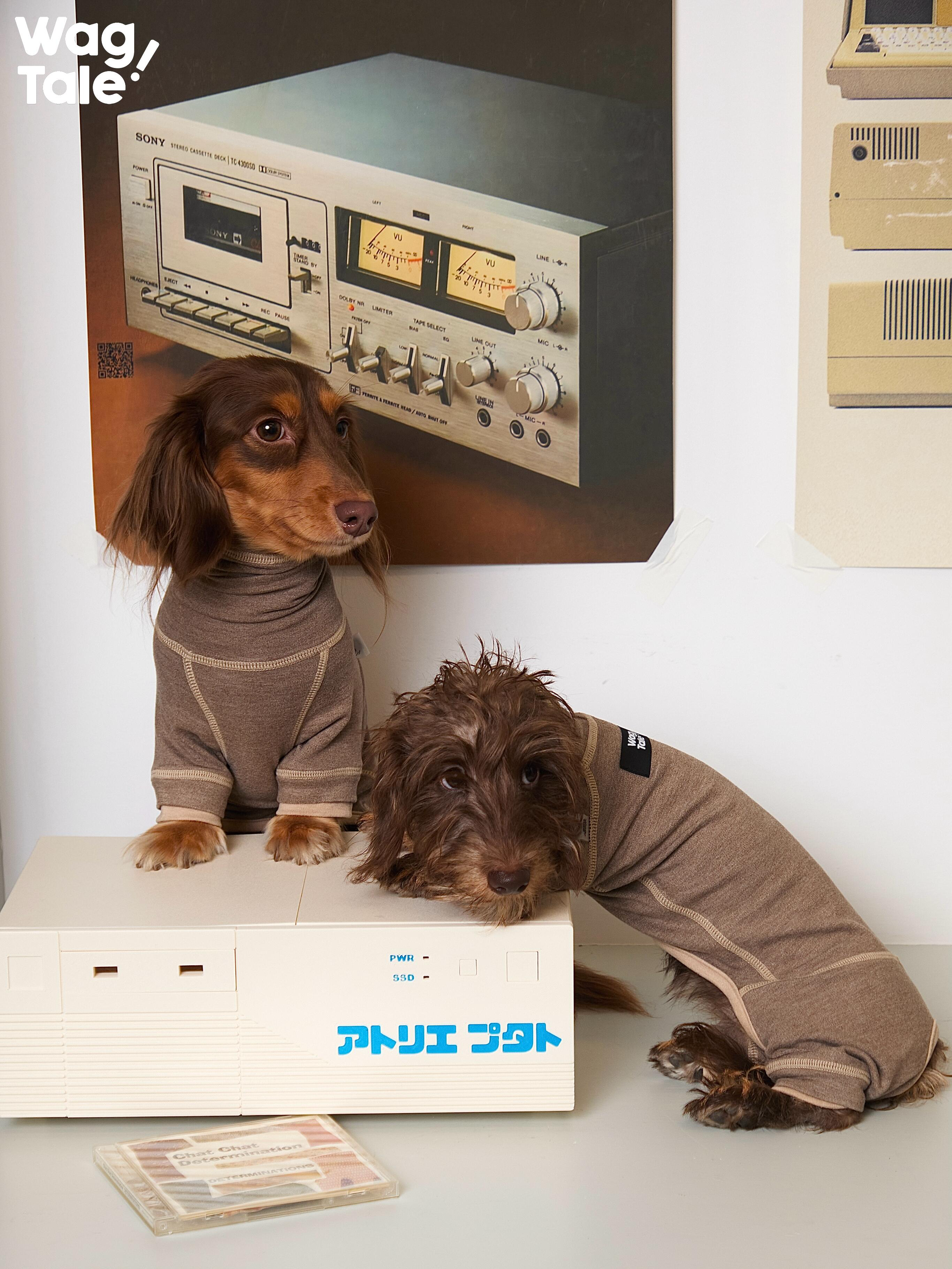 Anti-Static Thermal Dachshund Suit