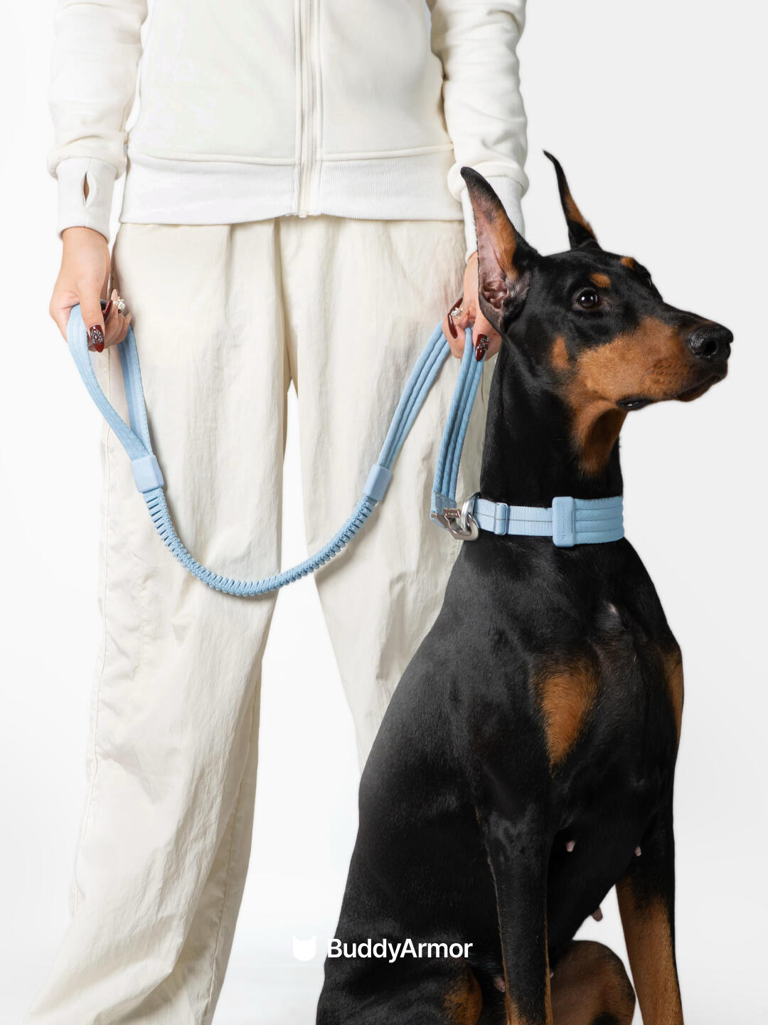 Shock Absorbing Elastic Dog Leash