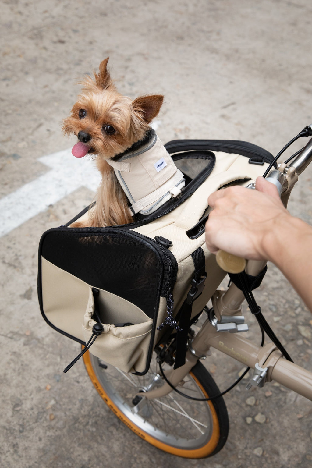 Breathable Pet Front Bicycle Carrier