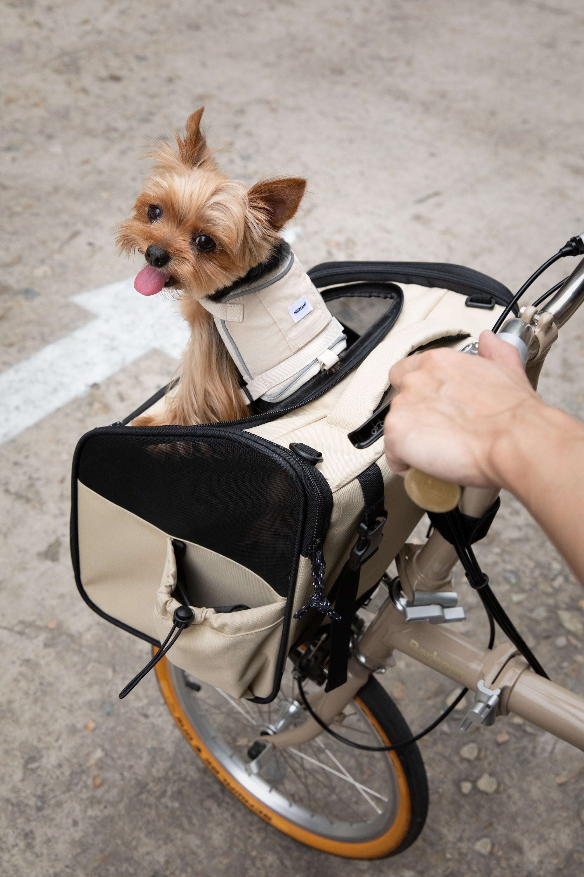 Breathable Pet Front Bicycle Carrier
