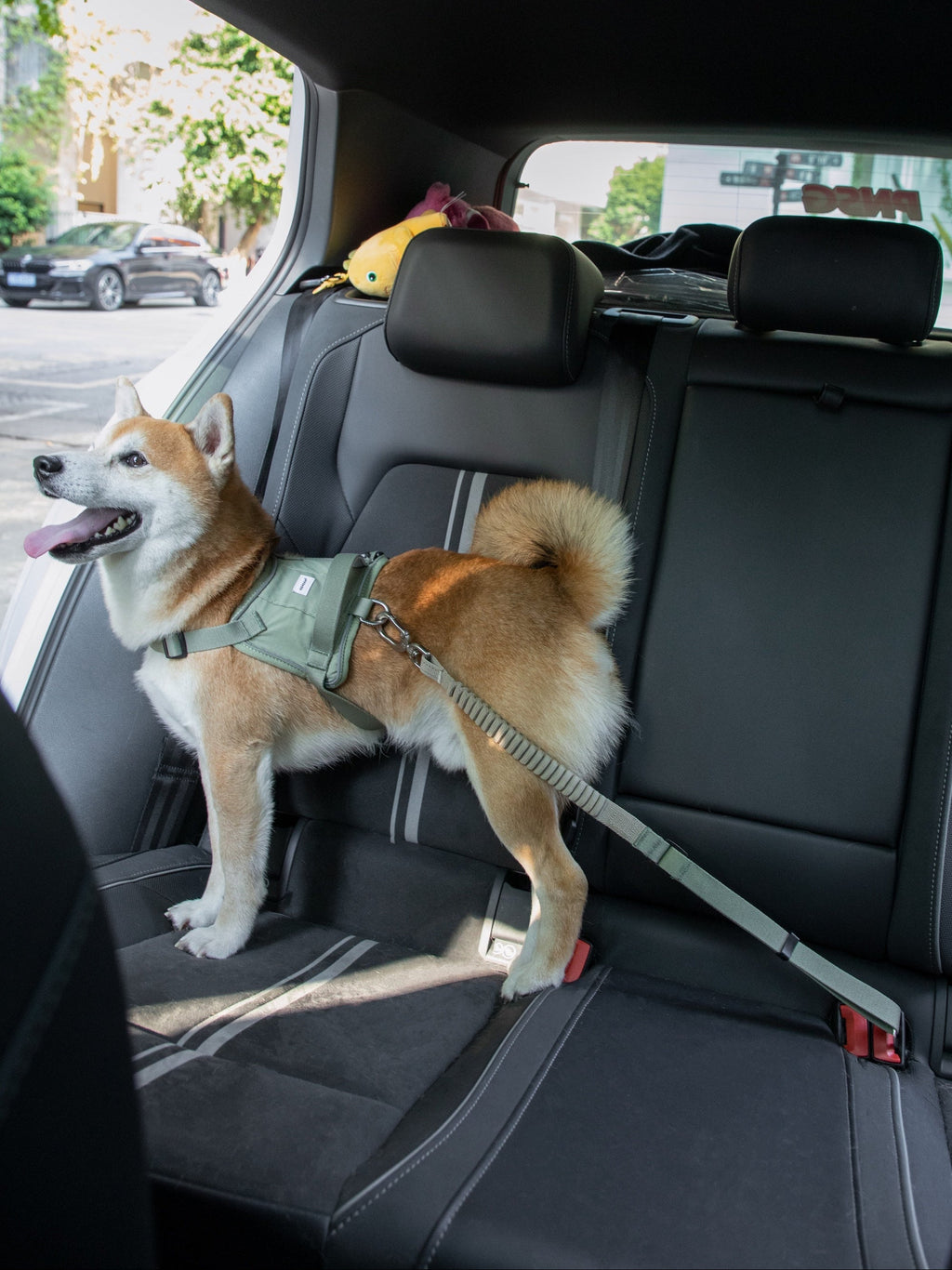 Elastic Shock Absorbing Dog Seatbelt Tether