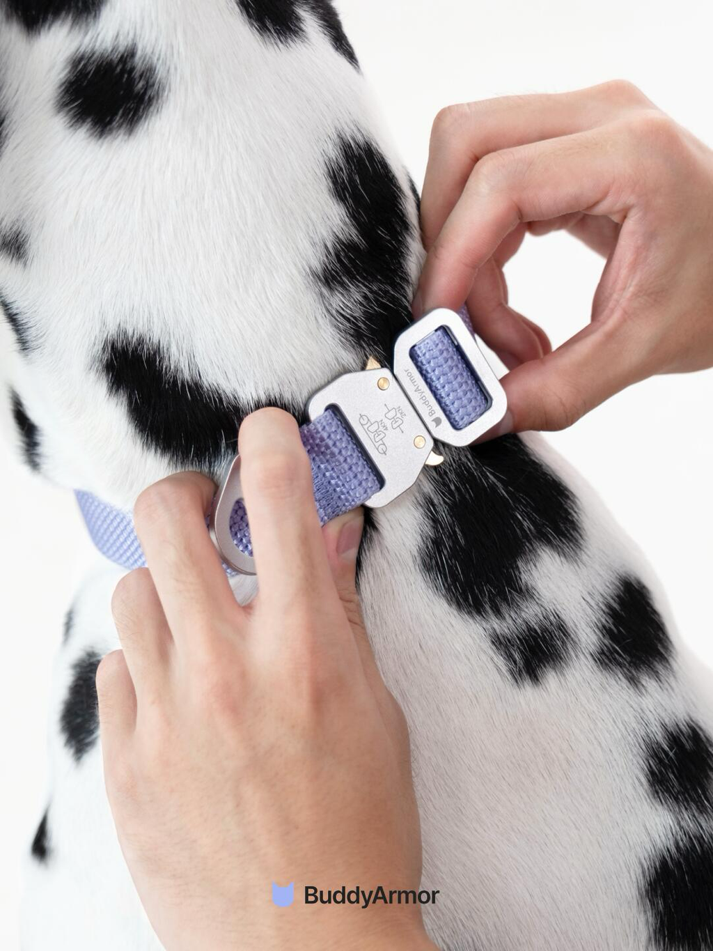 Quick-Release Dog Collar