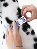 Quick-Release Dog Collar