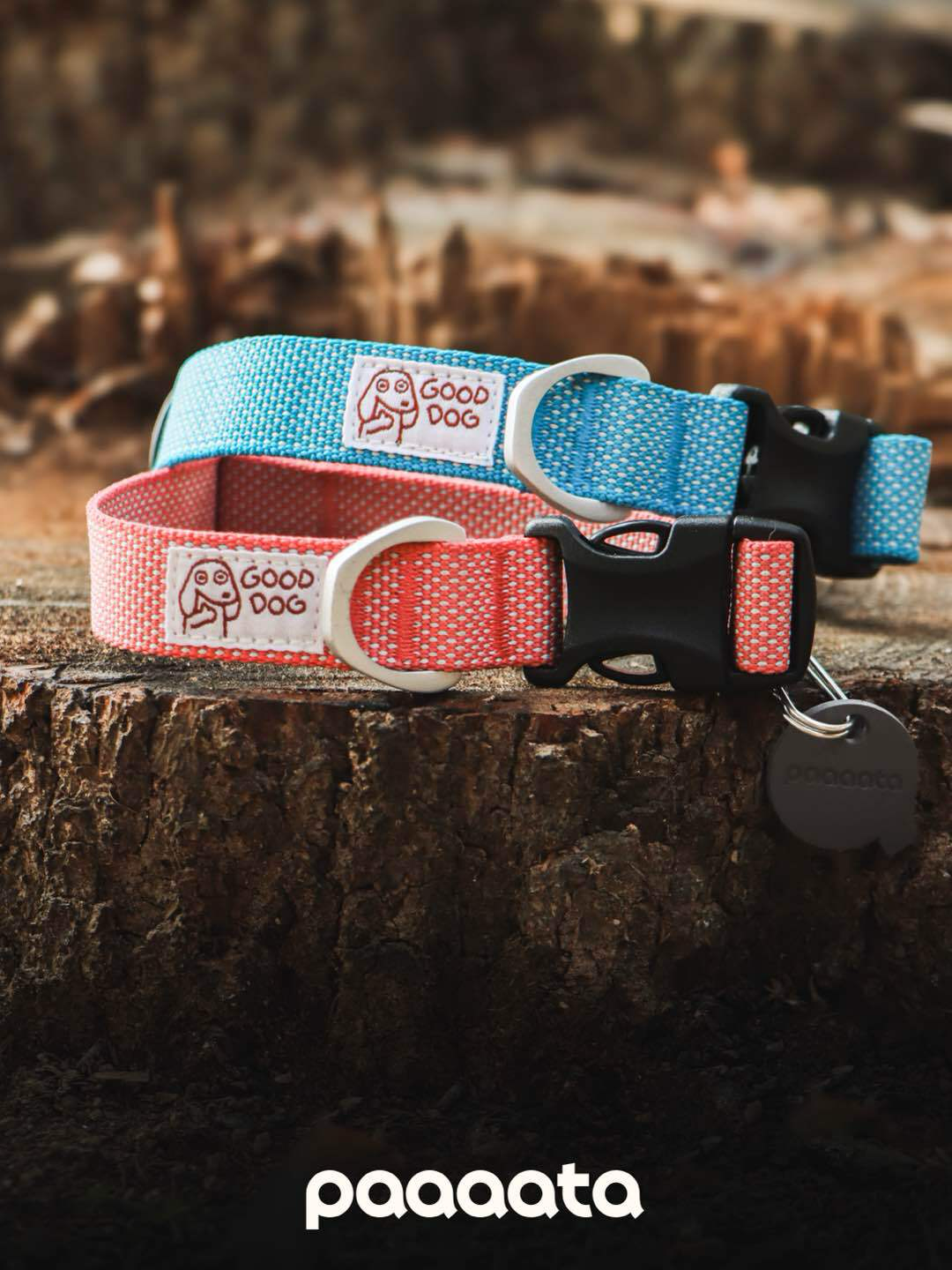 Lightweight Dog Collar with Silent Buckle