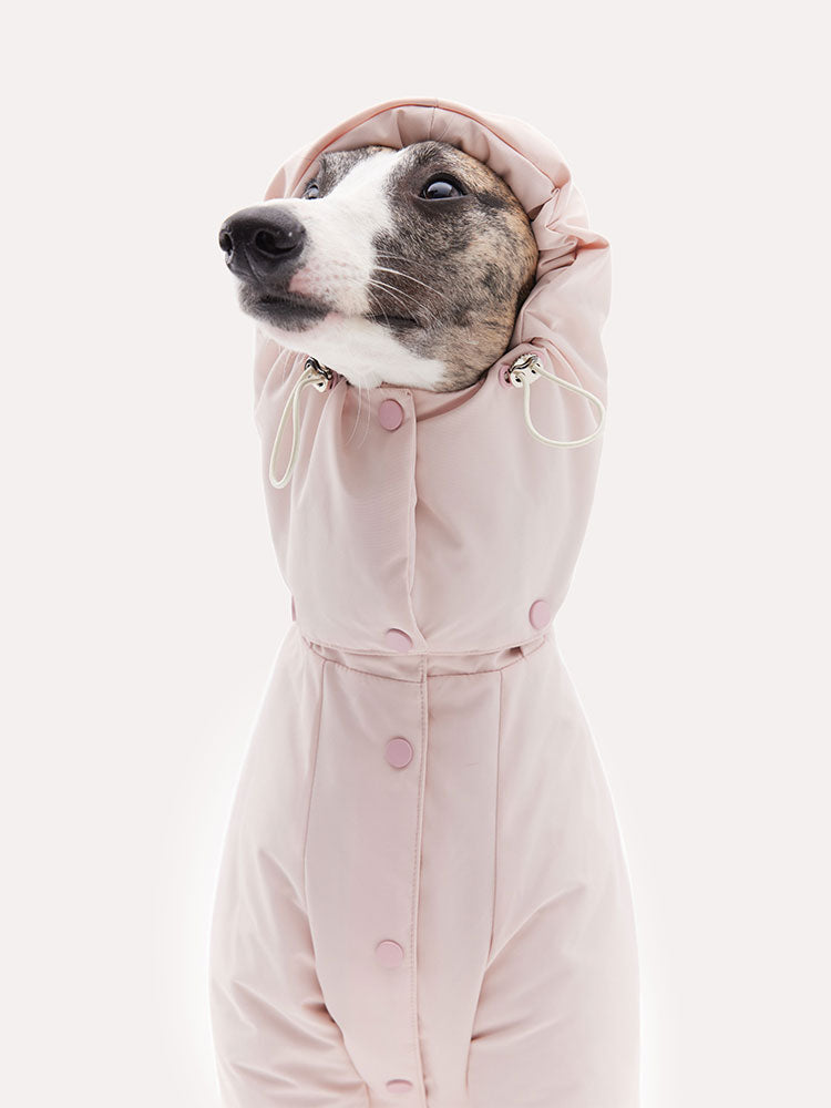Detachable Hood Winter Dog Warm Jacket