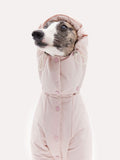 Detachable Hood Winter Dog Warm Jacket