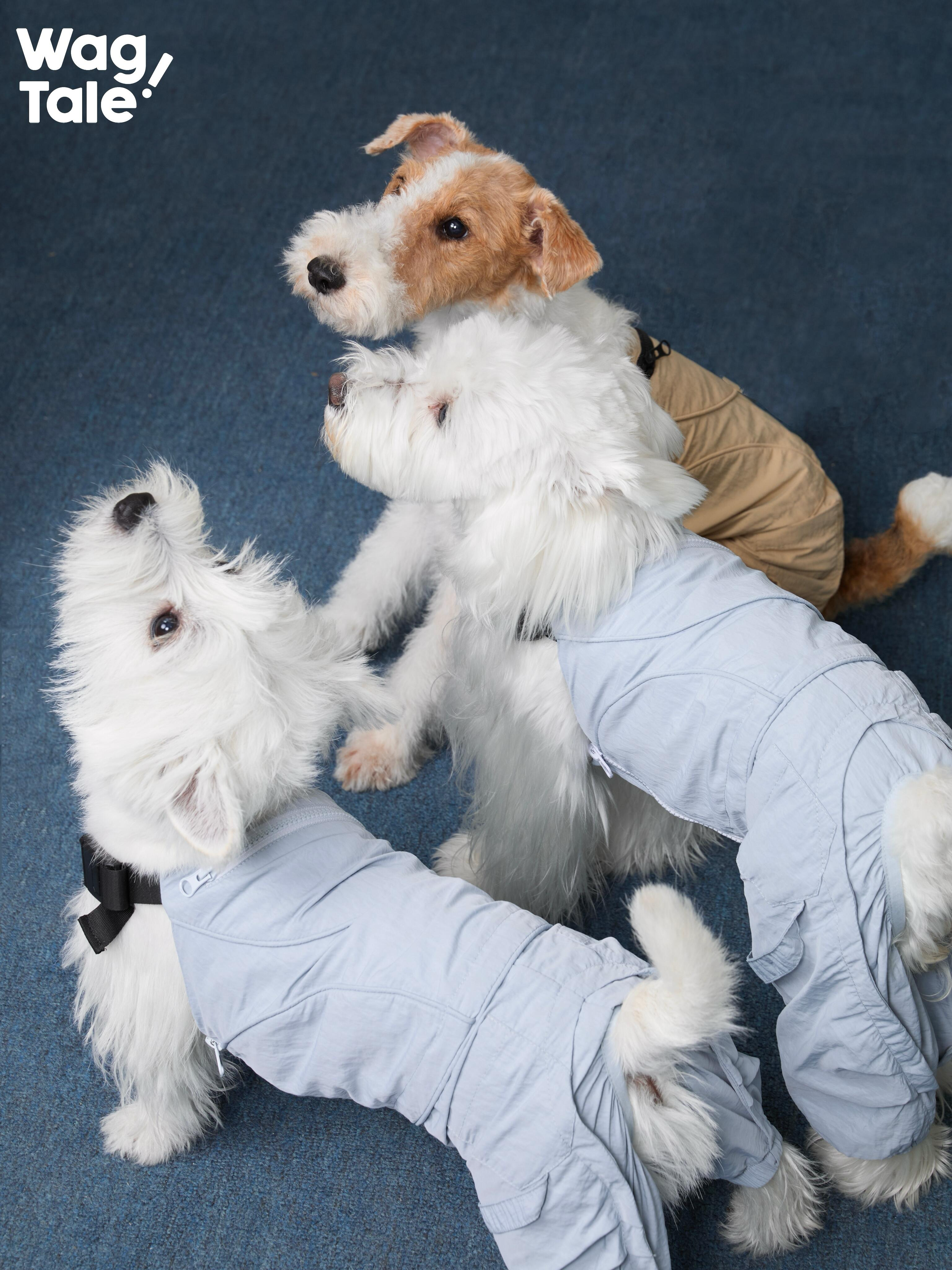 Waterproof Sun-Protective Dog Overall