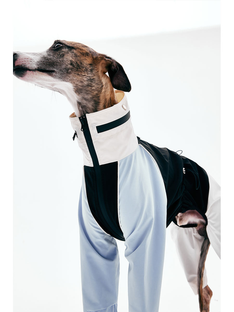 Four-Leg Dog Raincoat