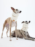 Sherpa Dog Scarf