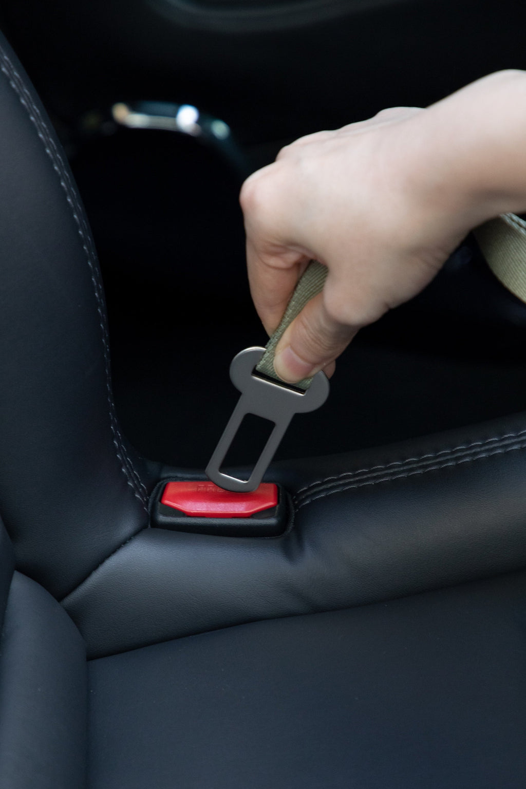 Elastic Shock Absorbing Dog Seatbelt Tether