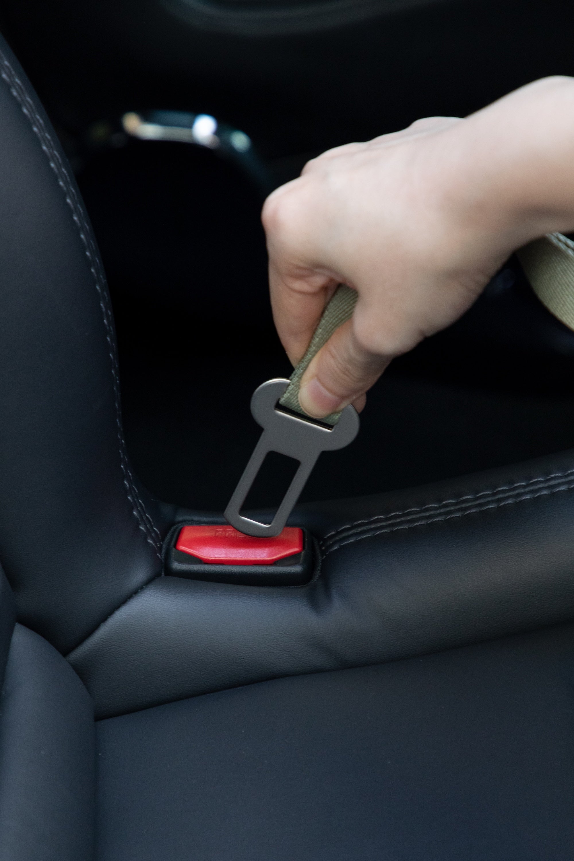 Elastic Shock Absorbing Dog Seatbelt Tether