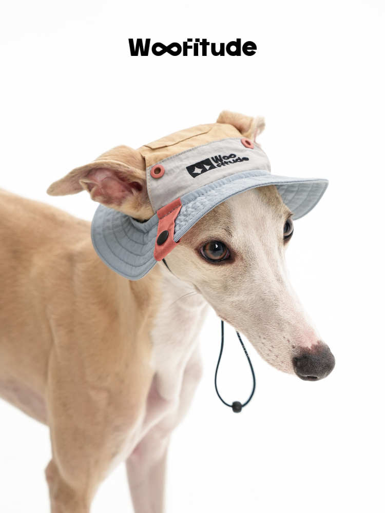 Adjustable Wide Brim Dog Sun Hat