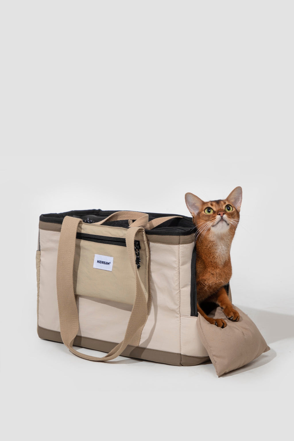 Escape-Proof Lightweight Pet Tote Carrier