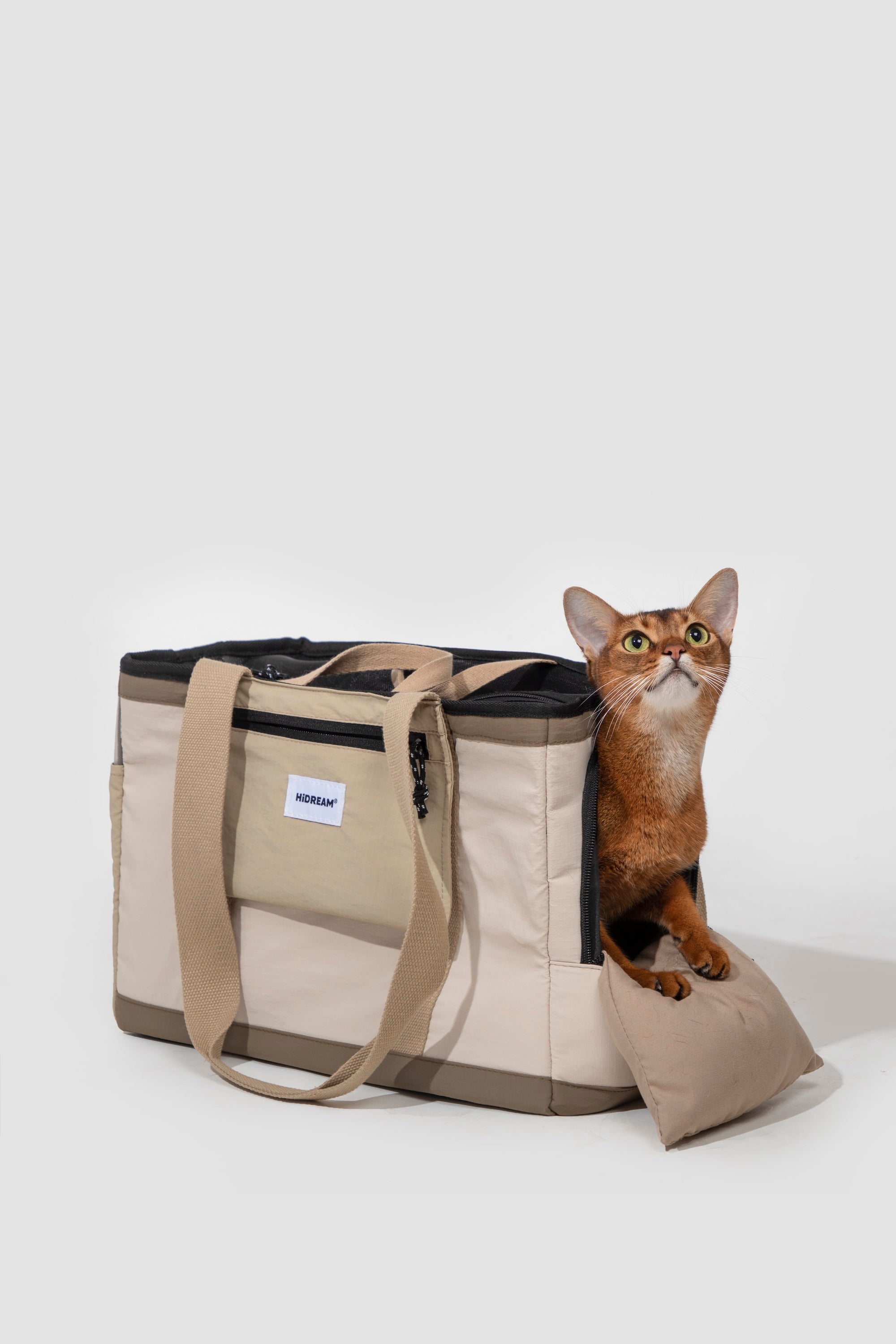 Escape-Proof Lightweight Pet Tote Carrier