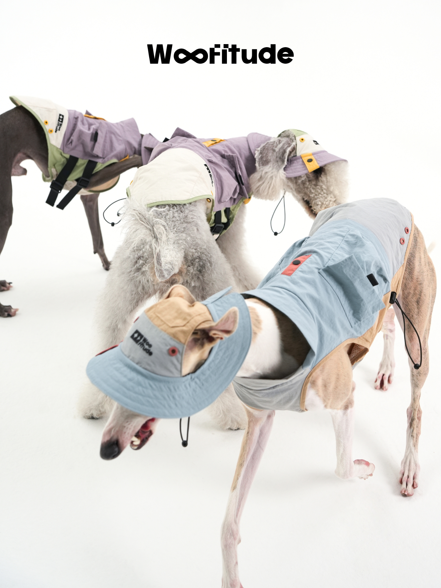Utility Dog Vest