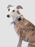 Quick Release Anti-Pull Dog Slip Collar
