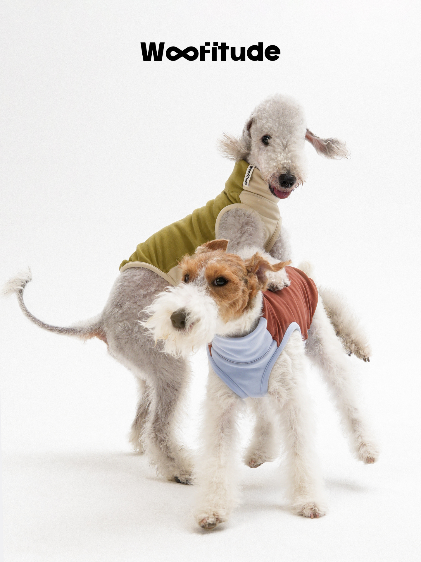 Ginger-Infused Tencel™ Dog Vest