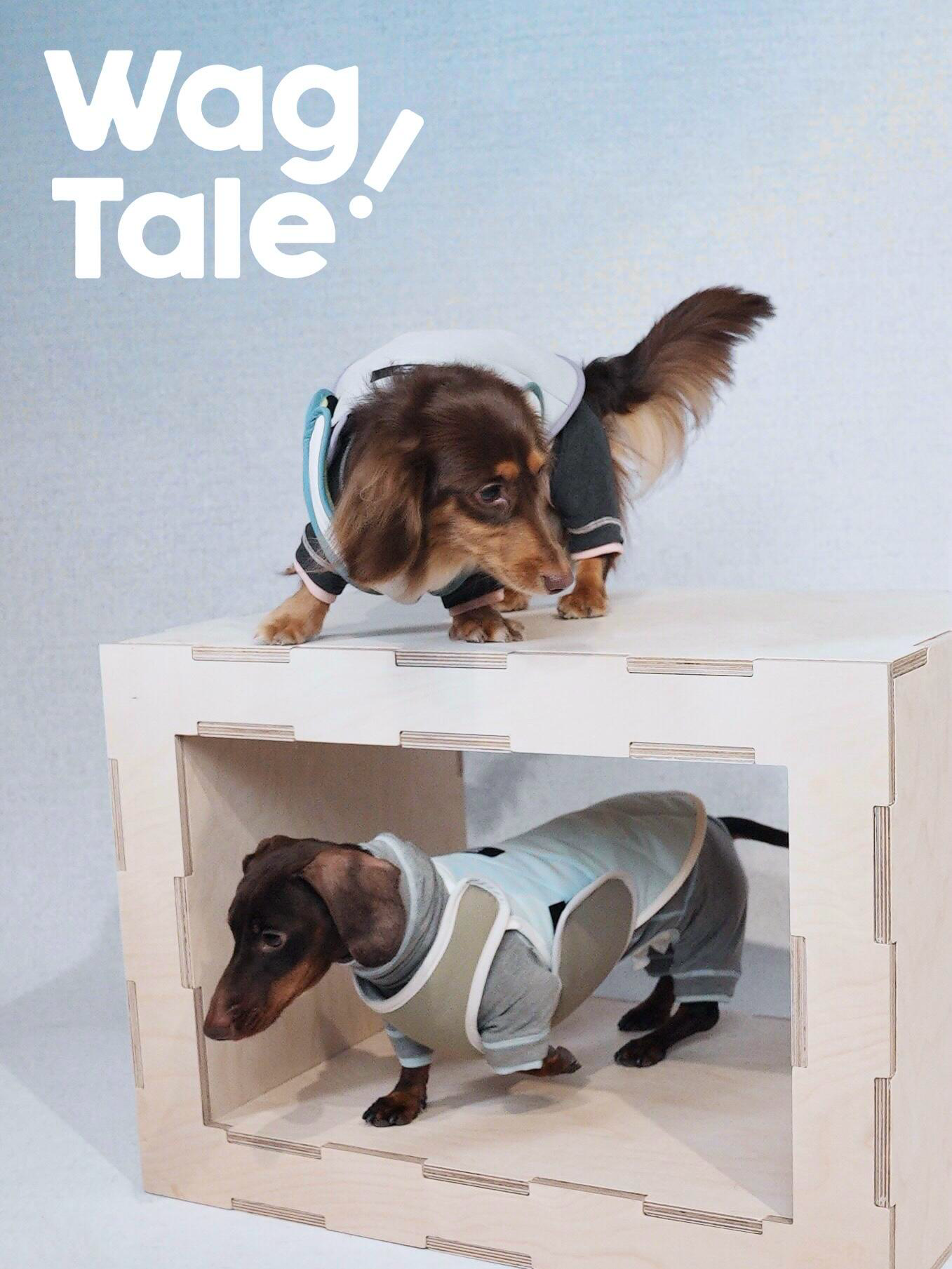 Reversible Waterproof Dog Vest