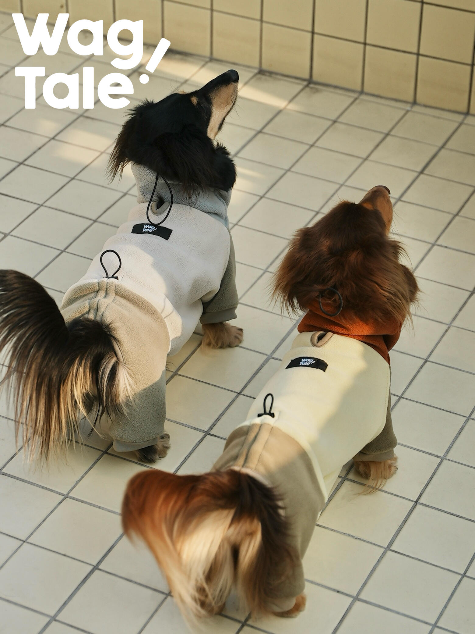 Fleece Dog Suit