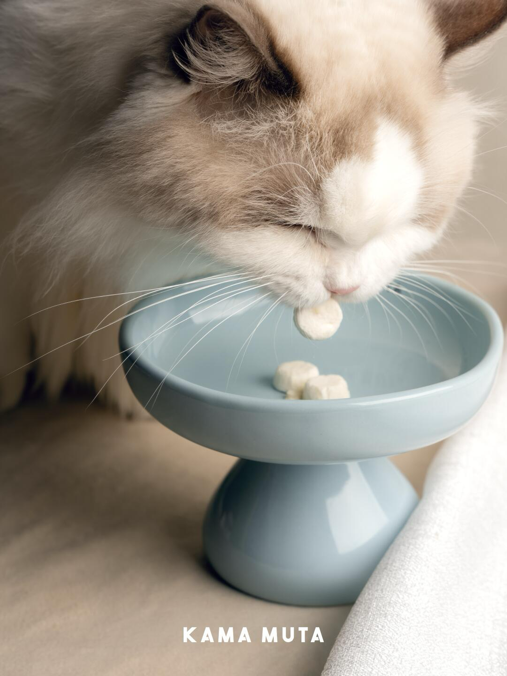 Mushroom Elevated Ceramic Cat Bowl