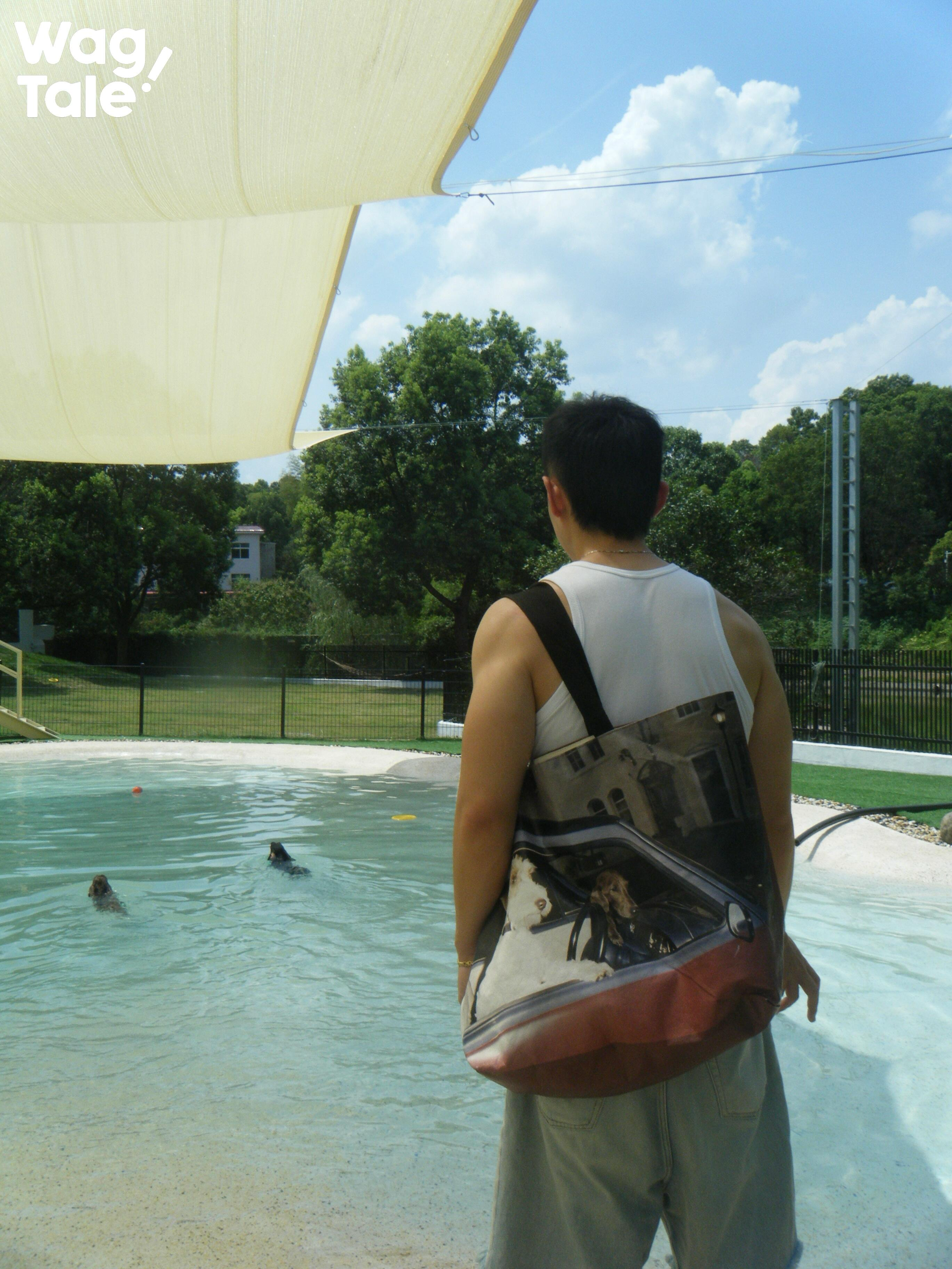 Water-Resistant Large Tote Bag