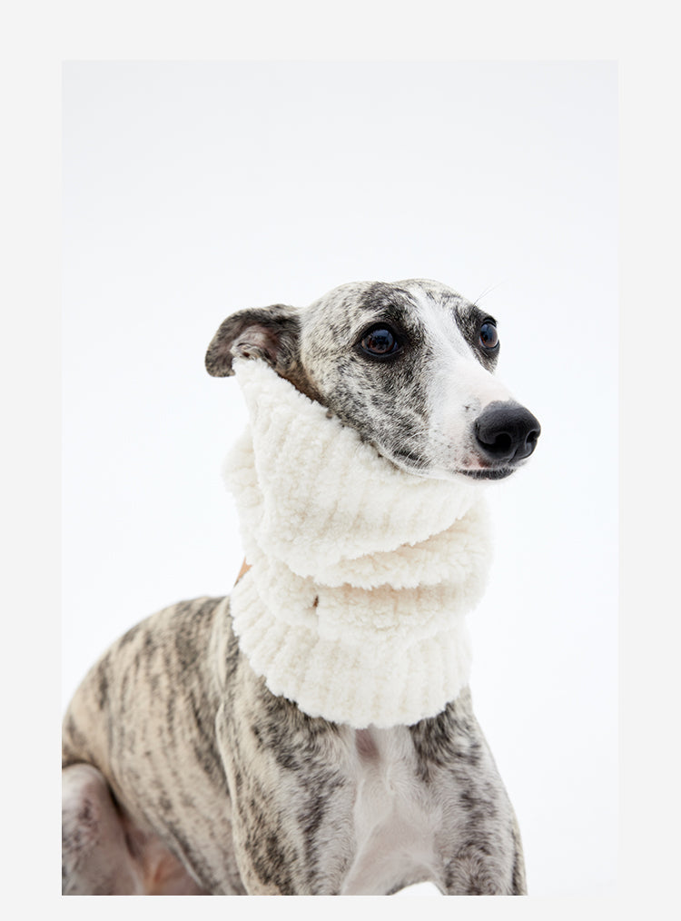 Sherpa Dog Scarf