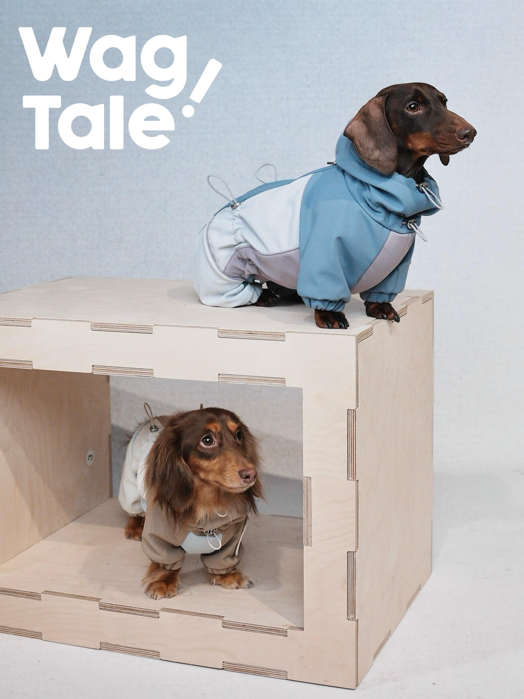Adjustable Dog Windbreaker Jacket