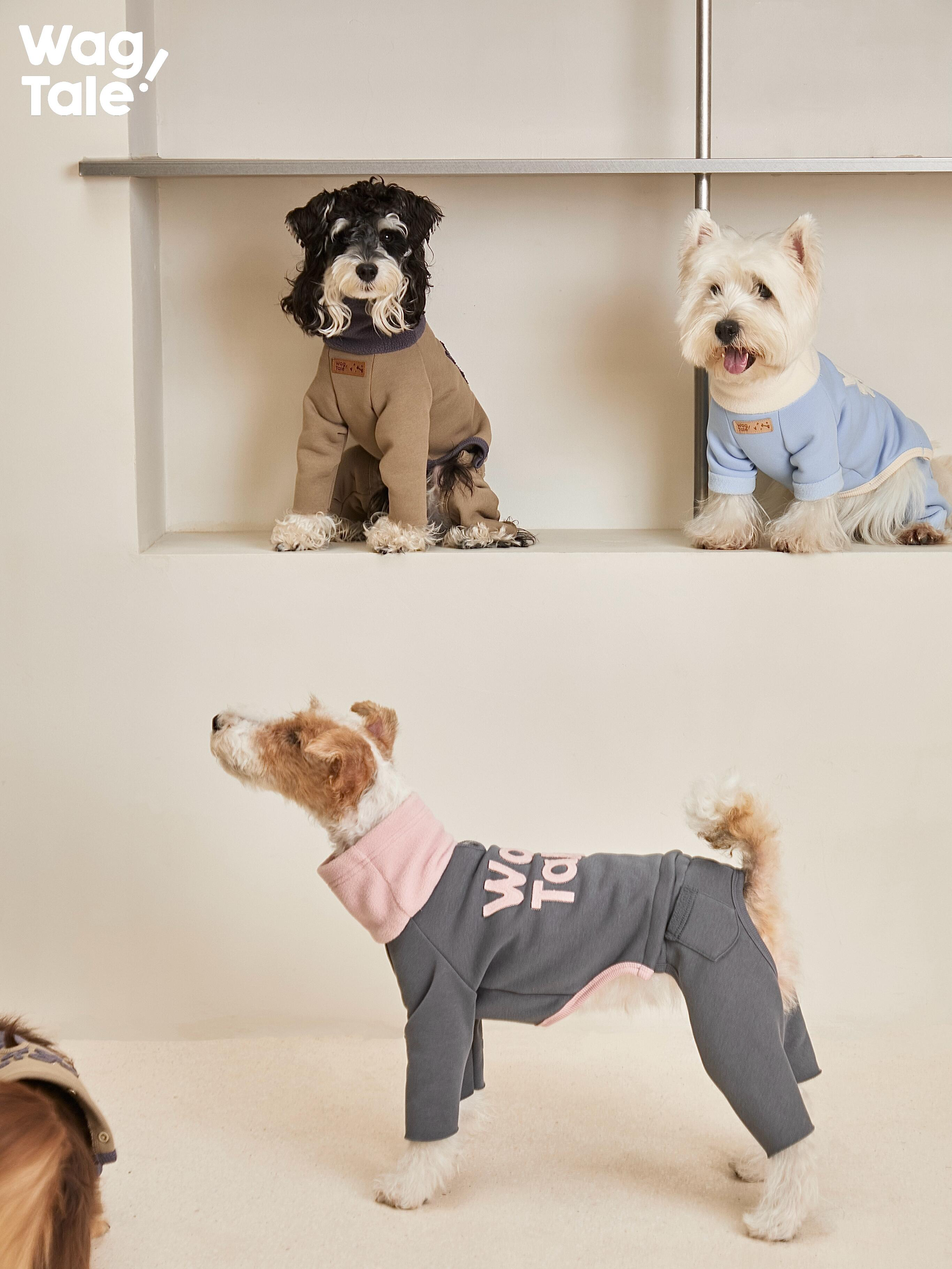 Vintage Style Full Body Dog Suit