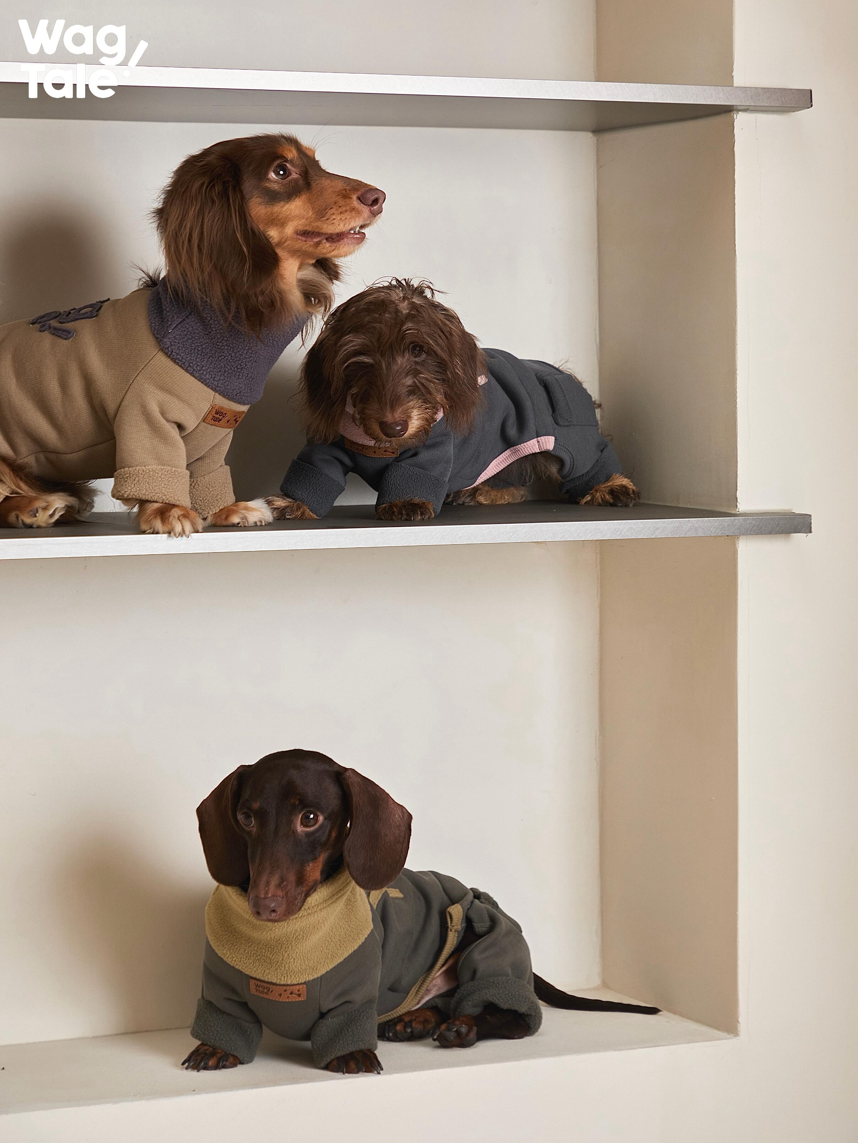 Vintage Style Full Body Dog Suit