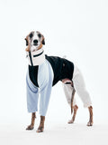 Four-Leg Dog Raincoat