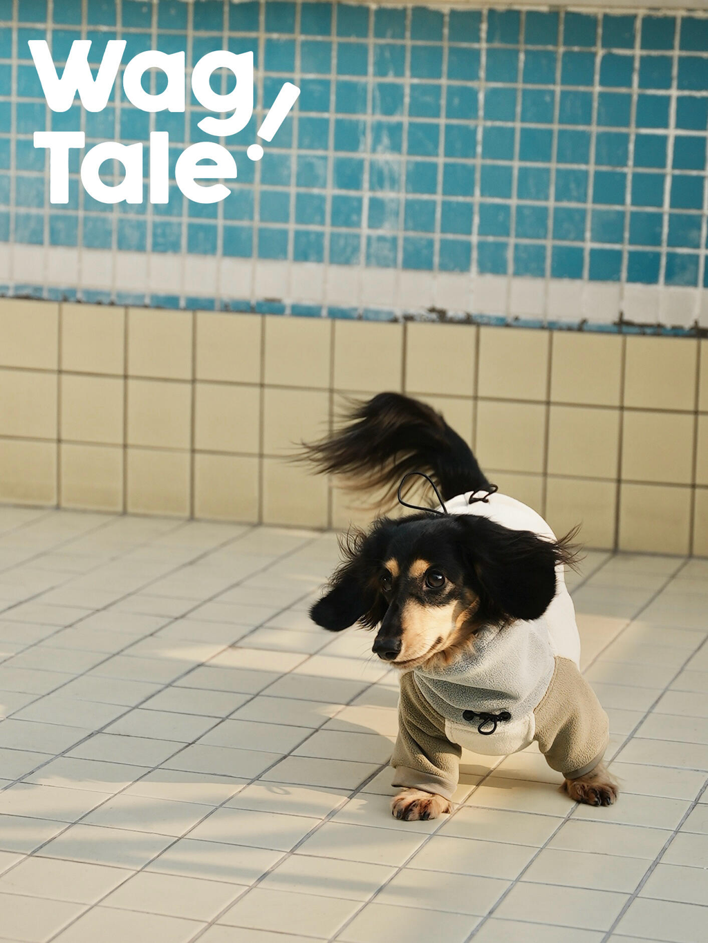 Fleece Dog Suit