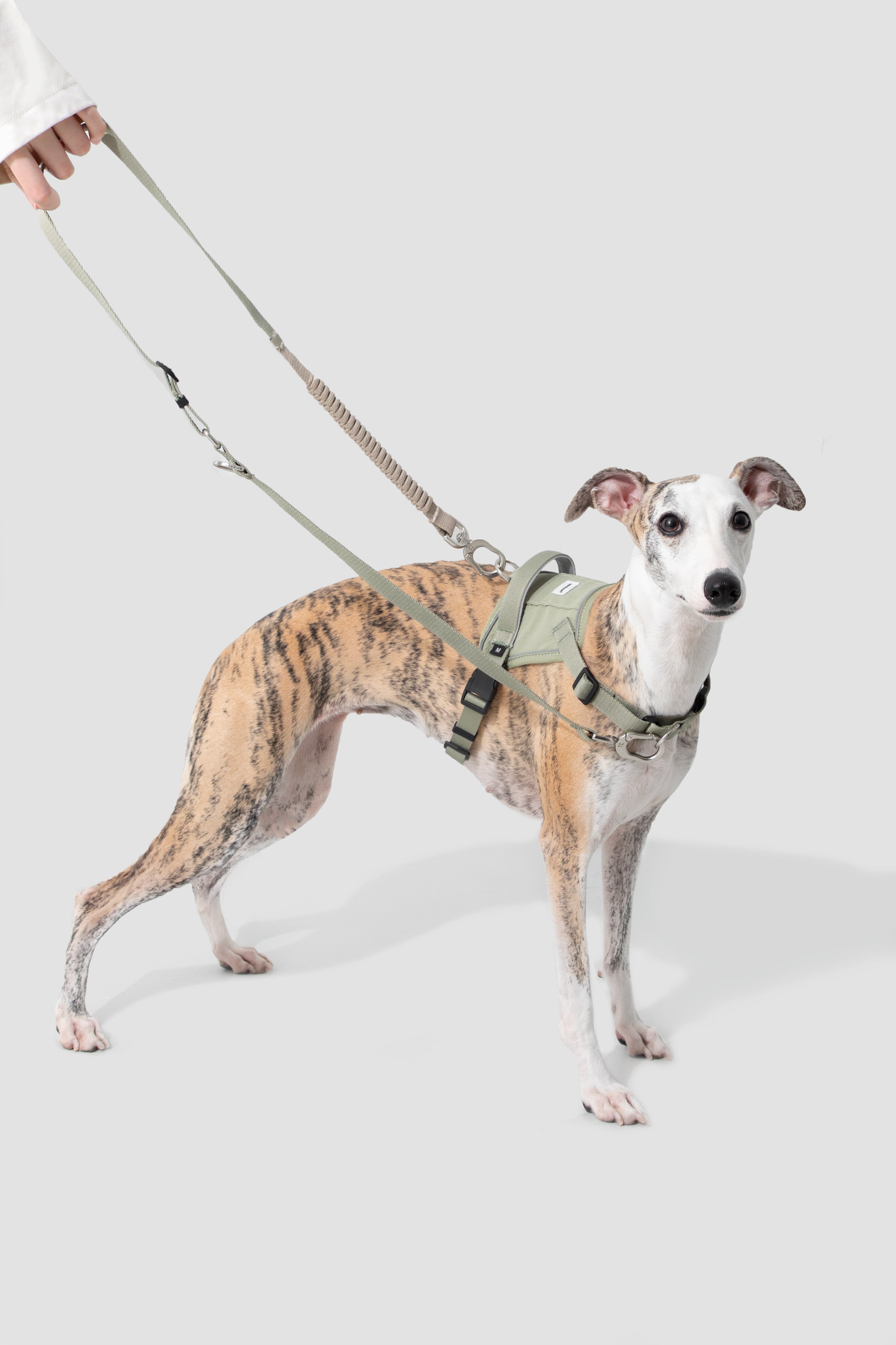 Saddle Style Dog Harness with Handle
