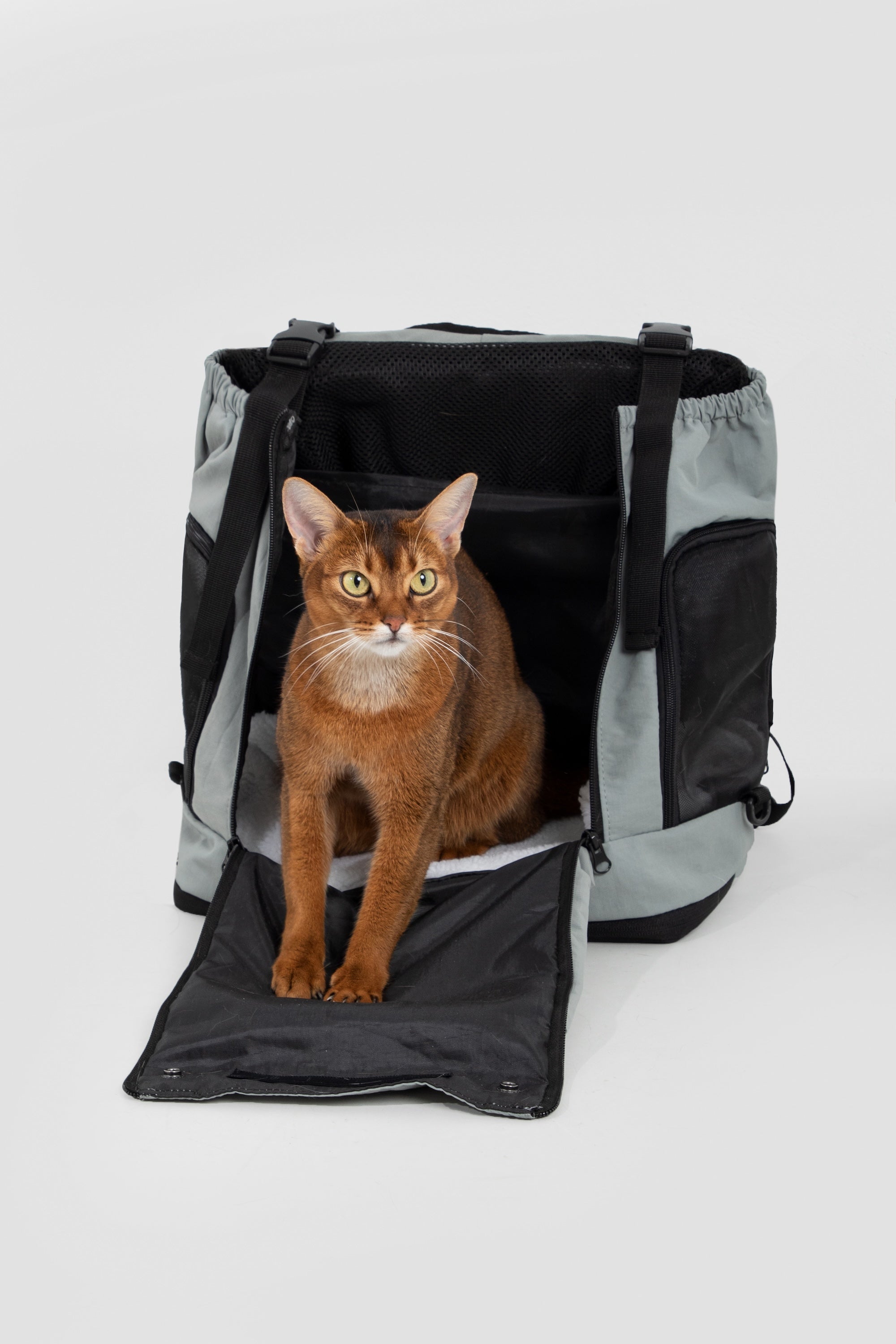 Ergonomic Front Pet Carrier Bag