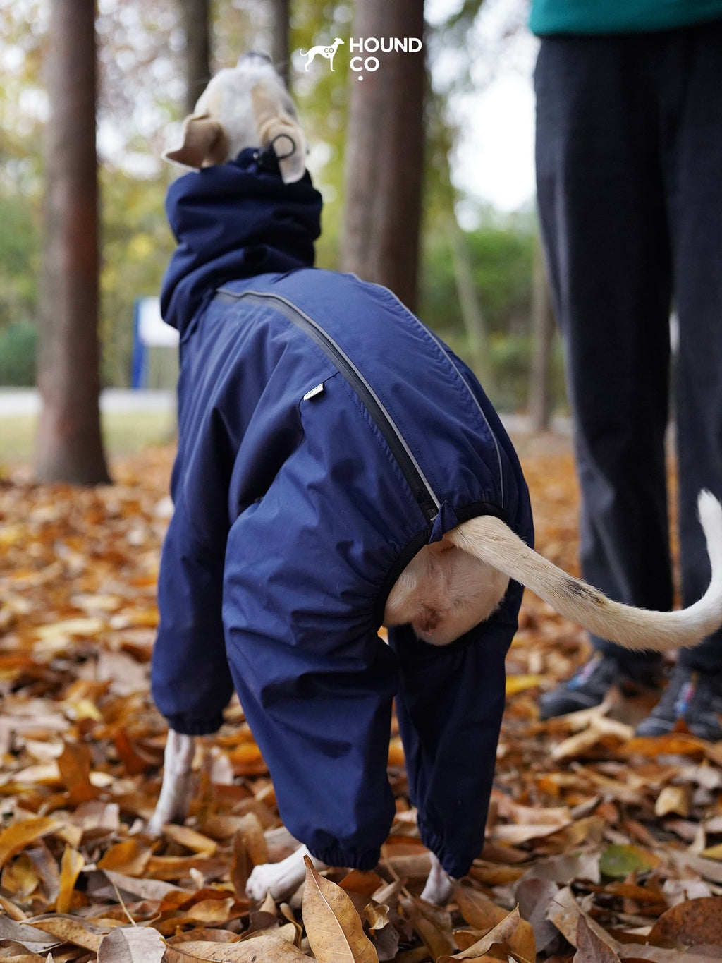Waterproof Insulated Dog Suit for Winter & Snow
