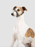 Anti-Pull Dog Head Collar