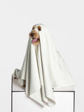 Ghost Dog Quick Dry Towel