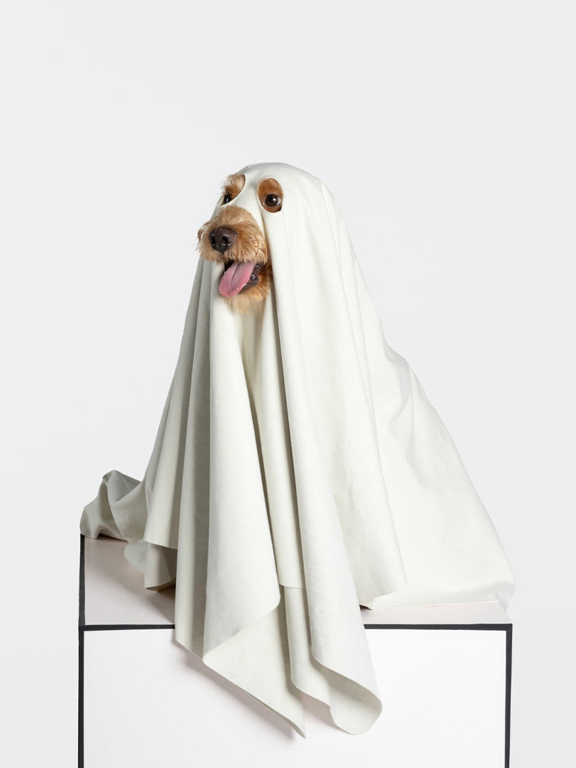 Ghost Dog Quick Dry Towel