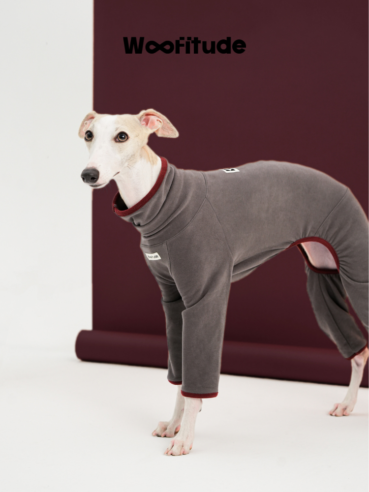 Ginger-Infused TENCEL™ Dog Suit