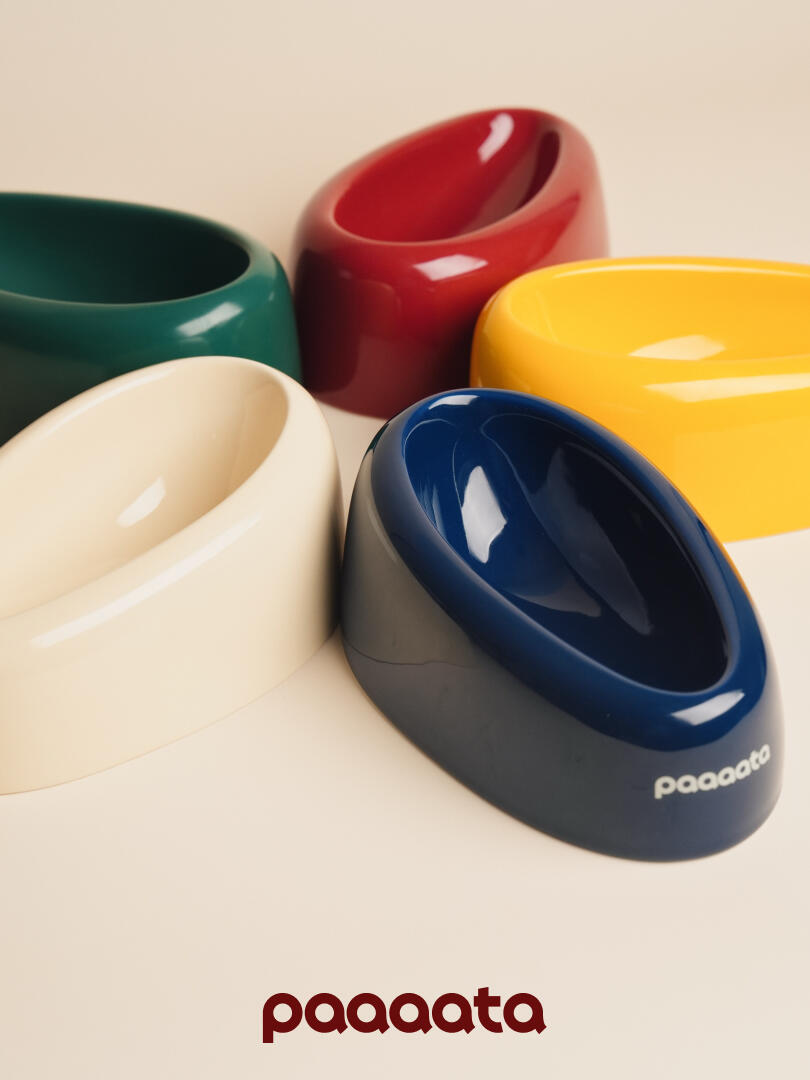 Signature Ceramic Slanted Pet Bowl