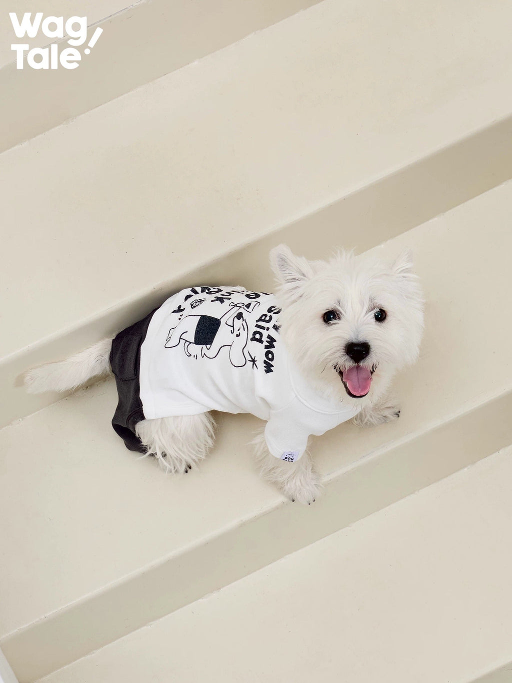 Dog Suit