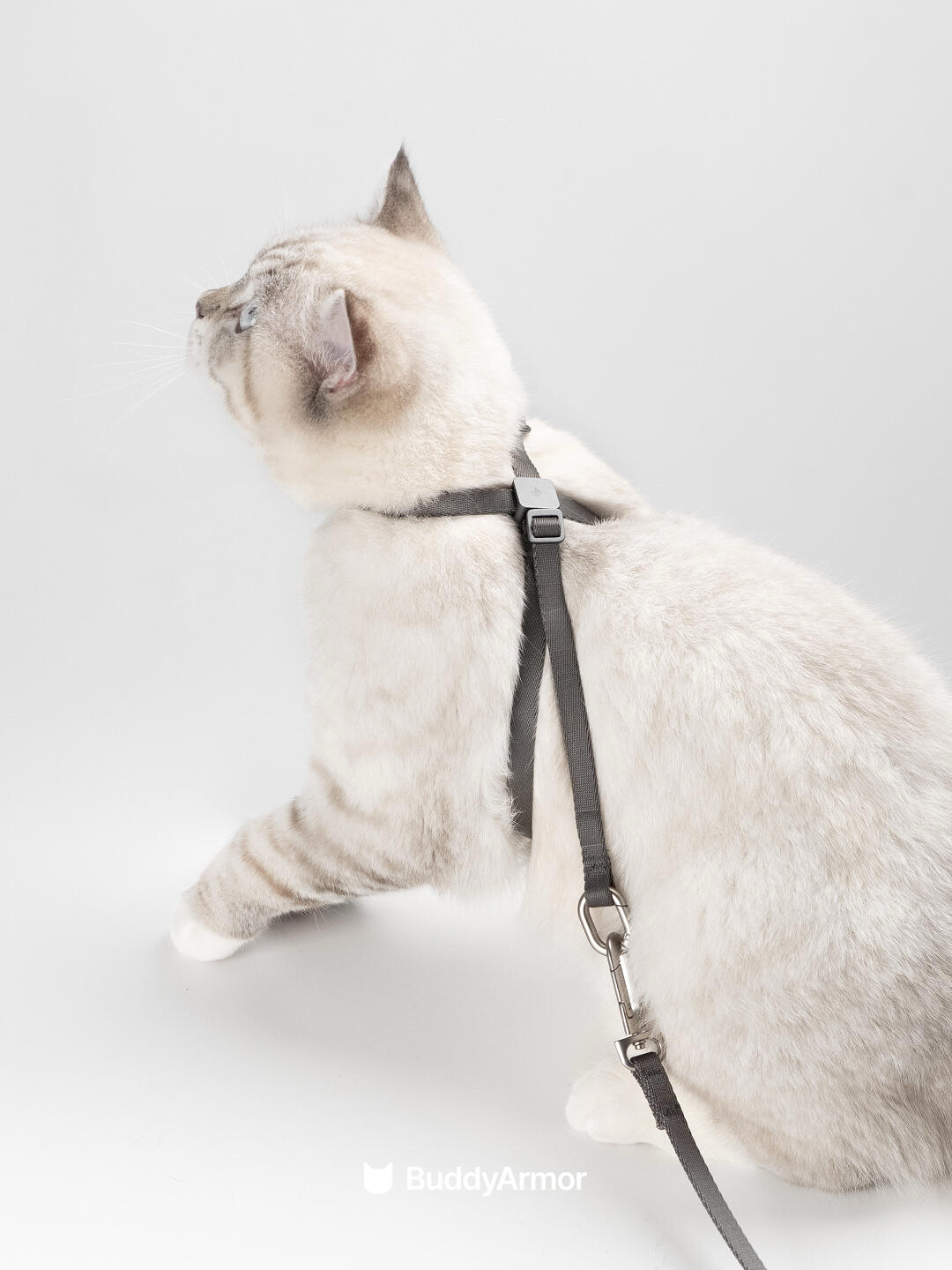 8-Shape Escape-Proof Cat Harness