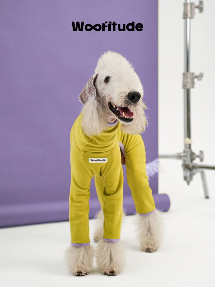 Ginger-Infused TENCEL™ Dog Suit