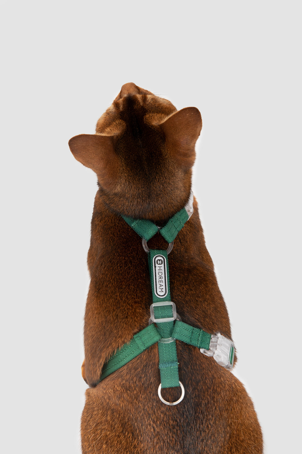 H-Shape Adjustable Cat Harness & Leash Set