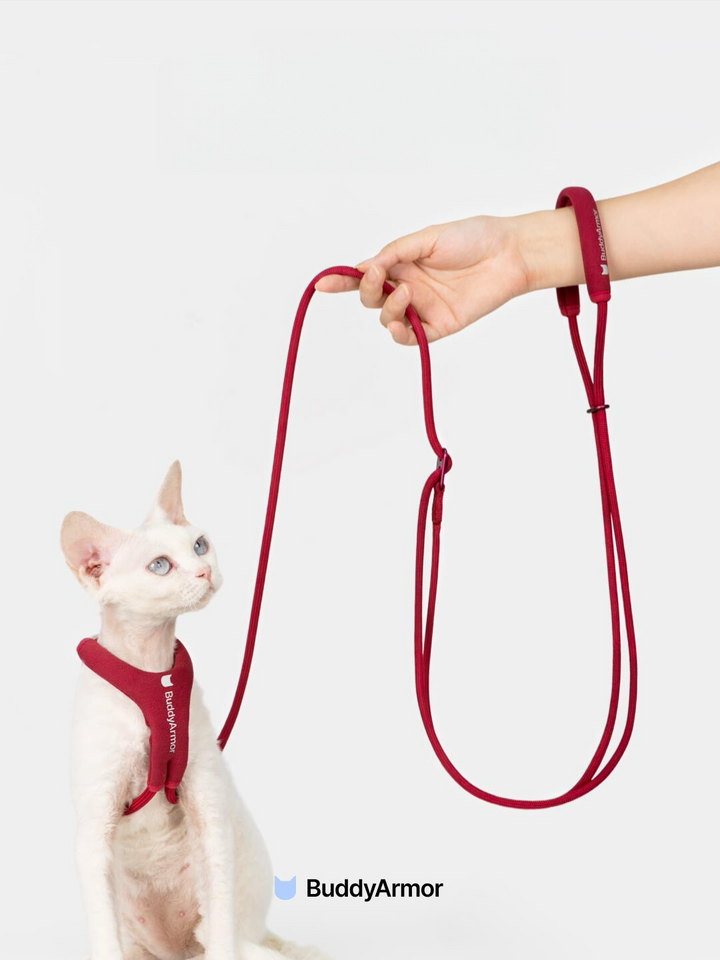 Adjustable Hands-Free Cat Leash