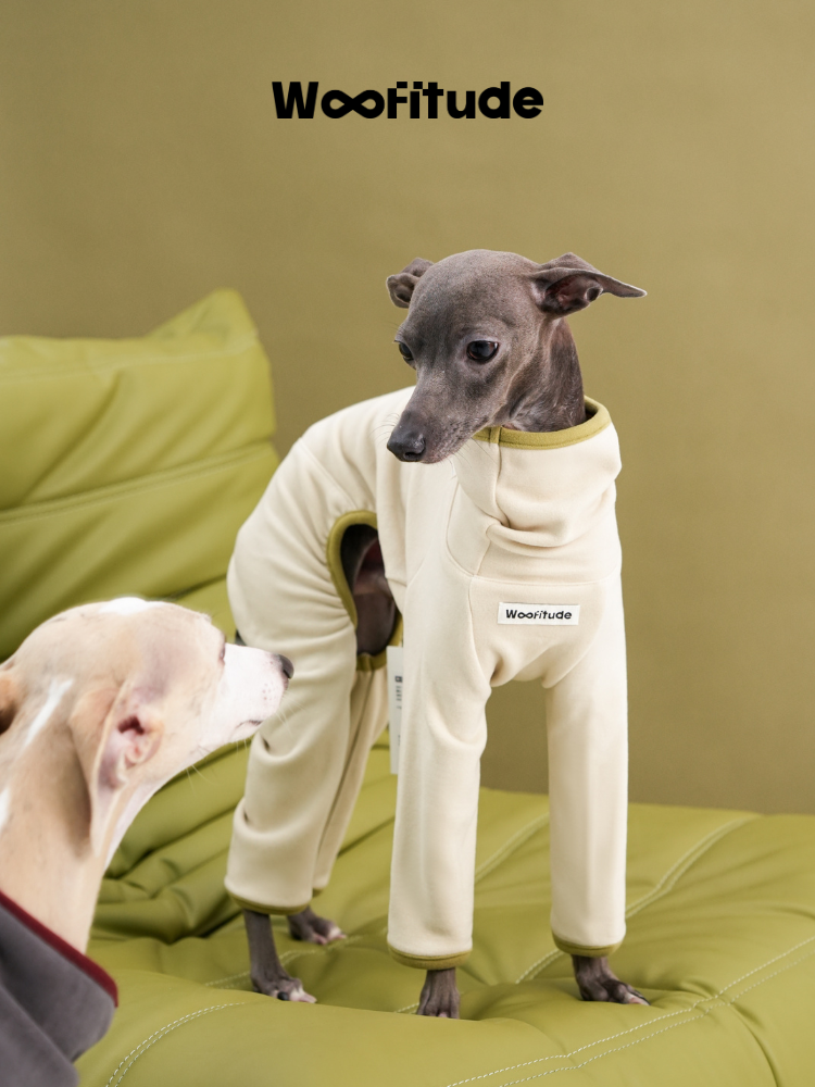 Ginger-Infused TENCEL™ Dog Suit