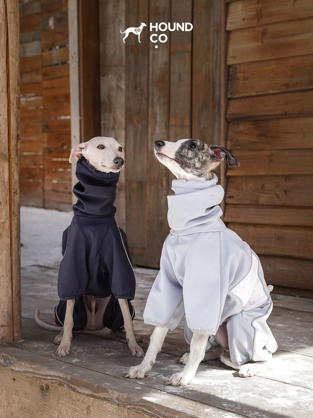 All-Weather Dog Fleece Windbreaker