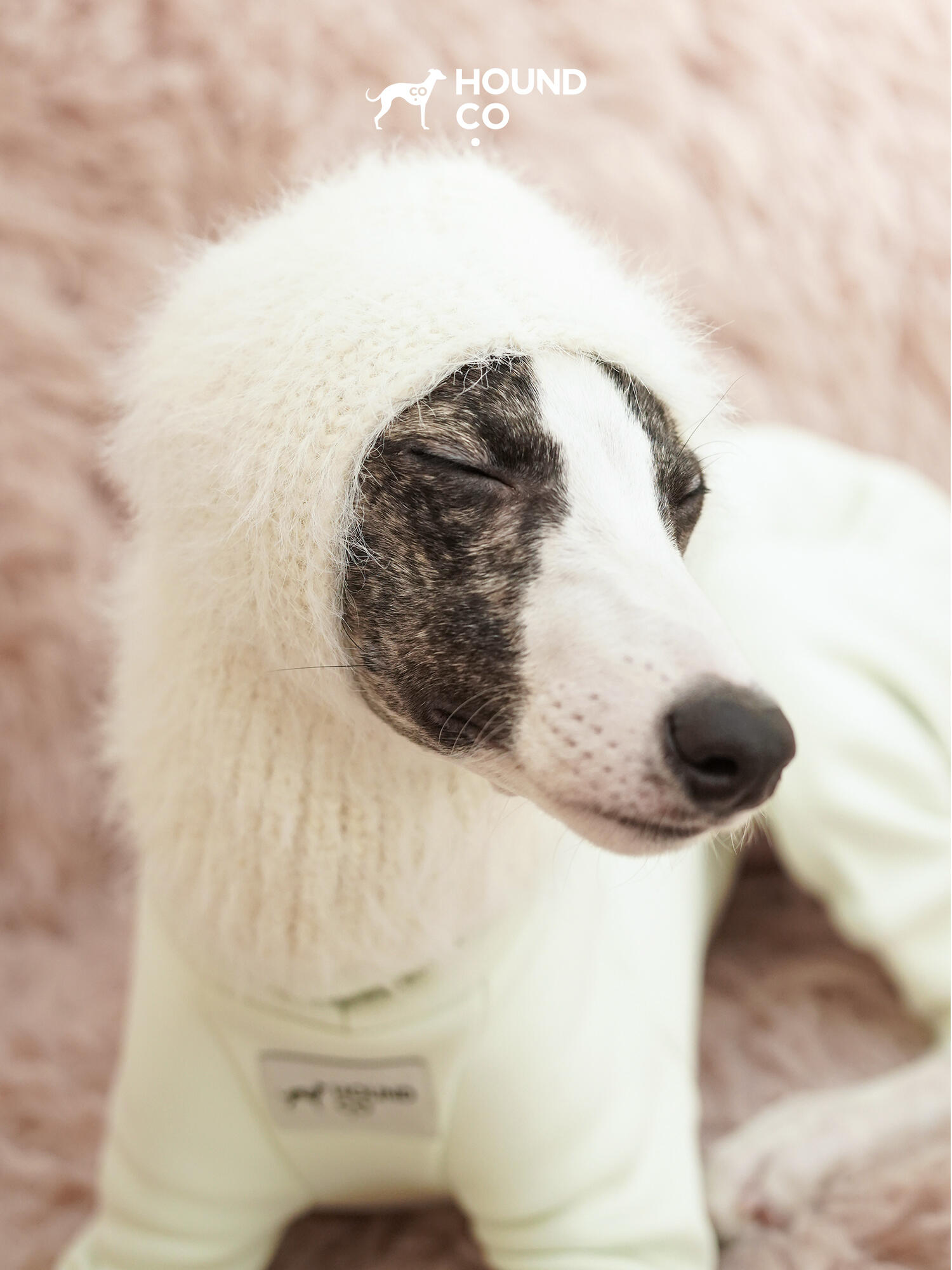 Dog Balaclava