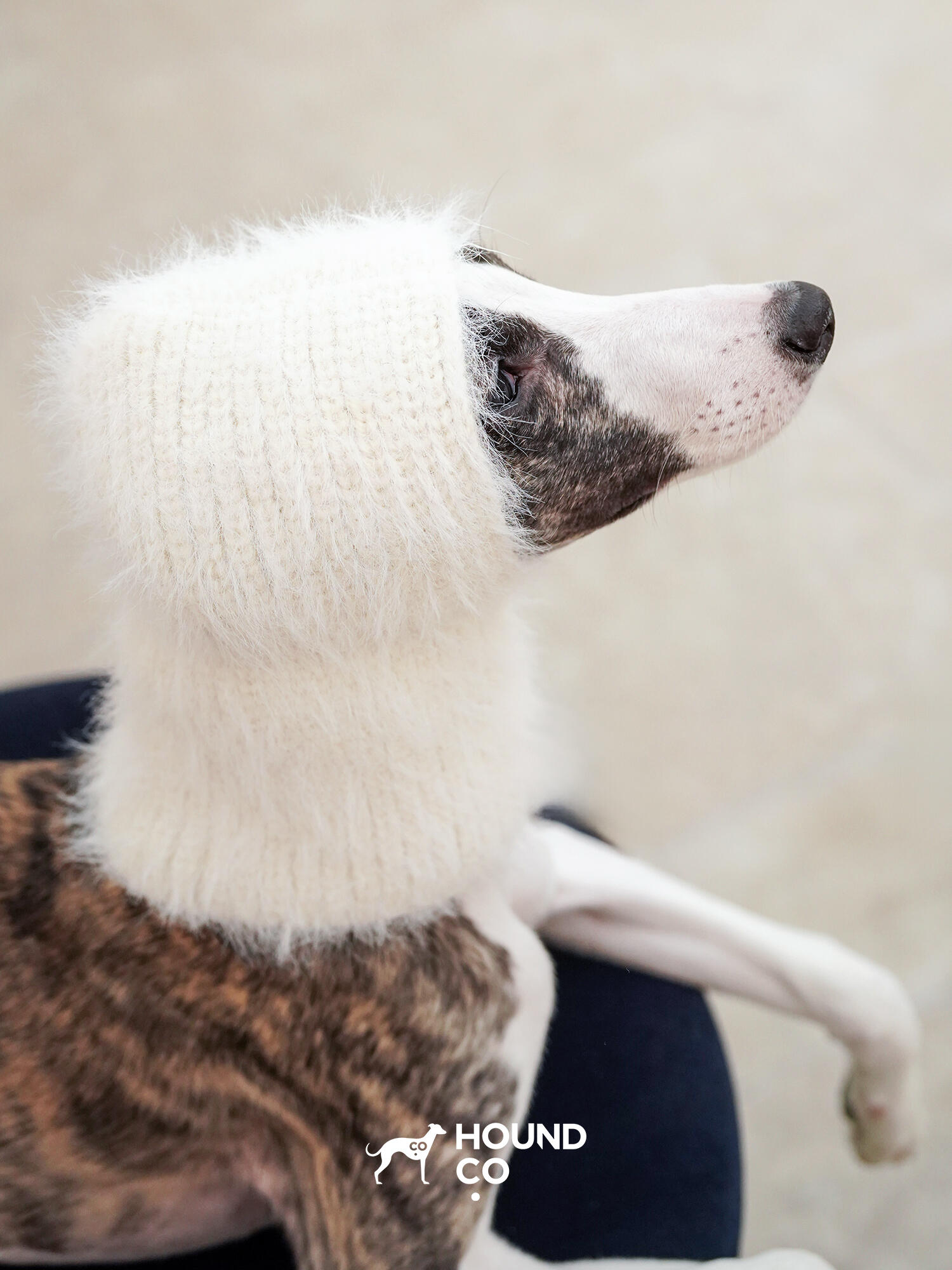 Dog Balaclava